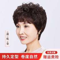 Wiggirl short curly hair full real hair Lady middle-aged full-headed natural fluffy hair mother wig