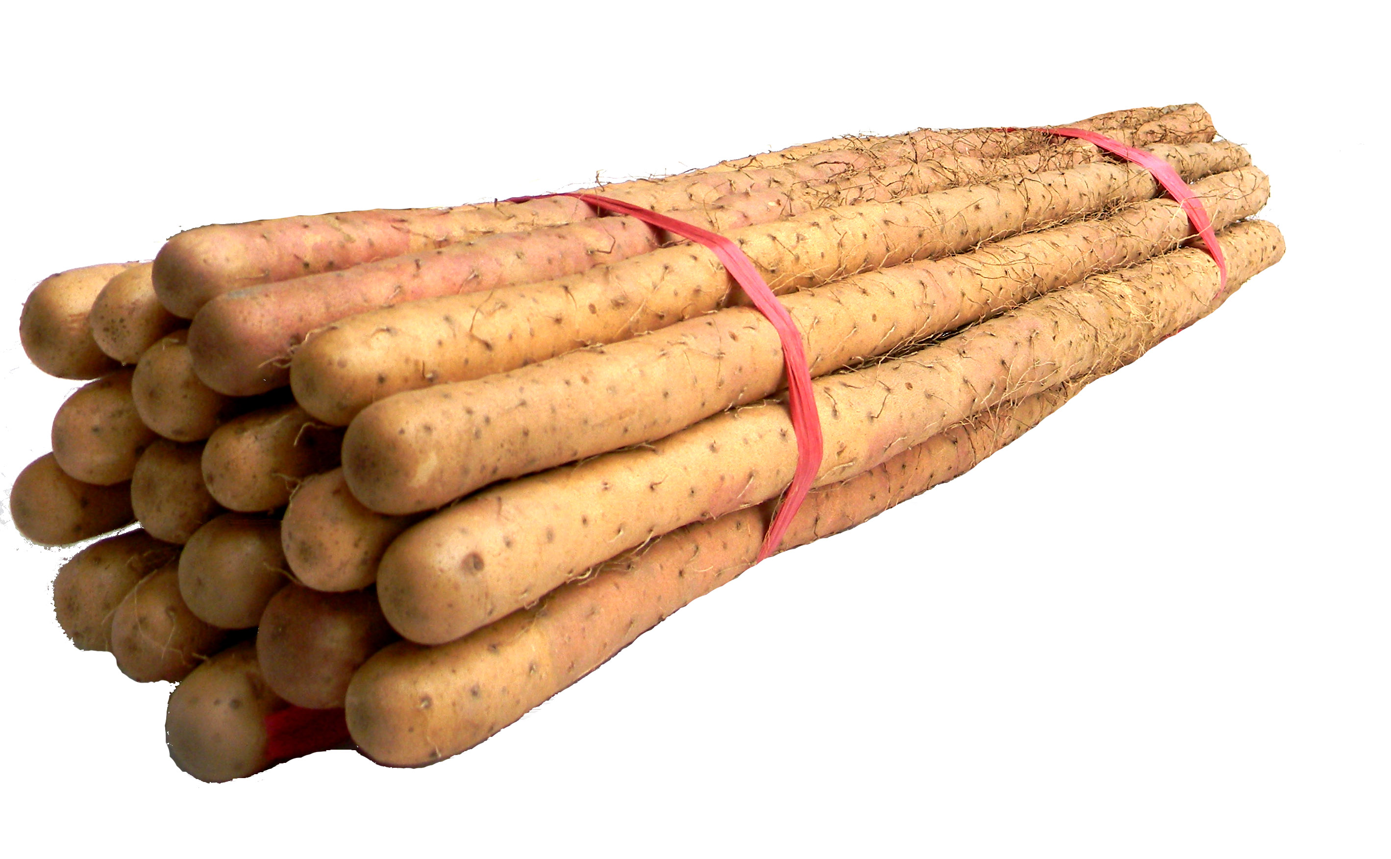 正宗焦作温县新鲜沙土铁棍山药500g 怀山药淮山药沙土