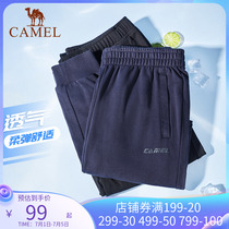 Camel Sports Pants Mens Fall Slim Fit Pants Lady Loose Bunches Pants Casual Knit Straight Drum Pants