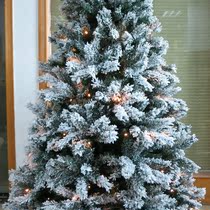 Christmas snow tree planting hair Christmas tree decoration decoration snow scene decoration Christmas tree White Cedar Christmas tree