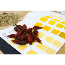 Tie-dyeing dye plant-dyed grass-dyed yellow Gardenia material package natural plant dye pure plant old clothes renovation