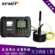 DeLight DHT-200 Portable Leeb Hardness Tester Leeb Multi-purpose Portable Hardness Tester Spot