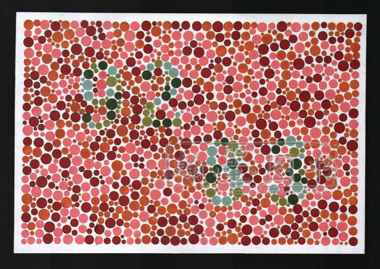 新编色觉检查图 测色盲色弱的书 色弱眼睛辨色本色盲检查图本红绿