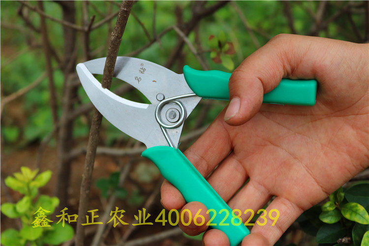 新品名钻果树环割剪葡萄环割器