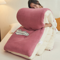 Quilt winter thickened warm 10kg winter quilt core Spring Spring and Autumn student dormitory single winter cotton quilt