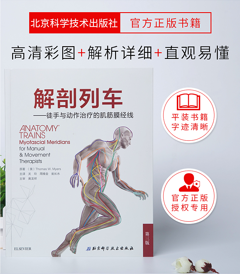 解剖列车徒手与动作治疗的肌筋膜经线简体中文第三版平装第3版