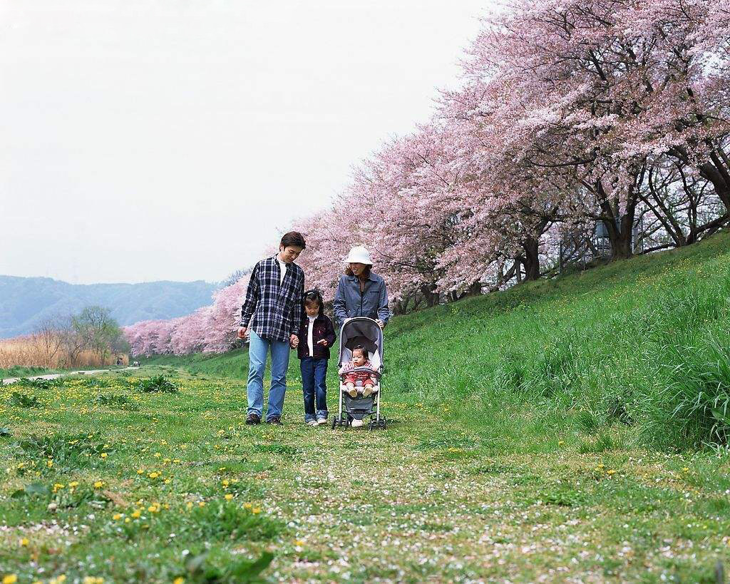 春天郊游有哪些小攻略呢?