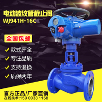 Electric bellows globe valve German standard high temperature heat transfer oil steam explosion-proof remote switch regulating valve WJ941H