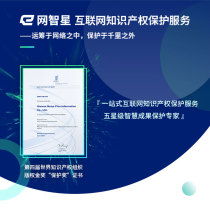 Netzstar IP Protection services Internet intellectual Property protection against piracy