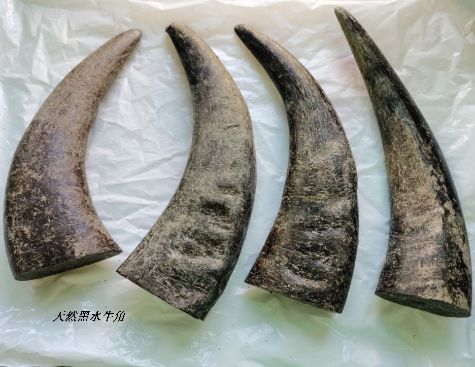 实心牛角尖 黑水牛角尖原料 实心水牛角尖雕刻佛珠原材料