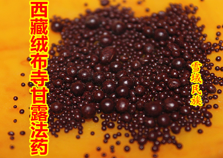 清净来源/西藏绒布寺 甘露法药/甘露丸小颗粒【财神甘露法药】