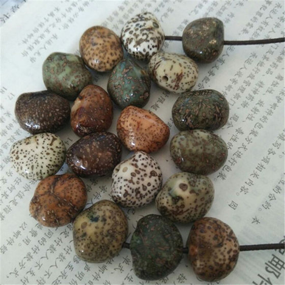 Hainan Yuanbao Xingyue Bodhi Seed 원자재 원료 원시 씨앗 하이 밀도가 높은 울음 소리 흰색 제이드 변환 스타 달 흩어져있는 구슬 무료 배송 Hainan Yuanbao Xingyue Bodhi Seed 원자재 원료 원시 씨앗 하이 밀도가 높은 울음 소리 흰색 제이드 변환 스타 달 흩어져있는 구슬 무료 배송