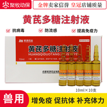 Veterinary drug 10x10ml Astragalus polysaccharide injection veterinary antiviral liquid interferon pig medicine cattle and sheep chicken medicine