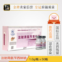Veterinary Drug North China Pharmaceutical ampicillin sodium injection 1g penicillin 50 bottles zhu niu yang fever anti-inflammatory