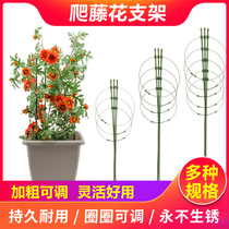 Climbing Rattan Shelf Flower Shelf Flower Pots Bracket Gardening Plants Climbing Rack Iron Art Indoor Balcony Moon Season Rose Wei Iron Thread Lotus Flowers