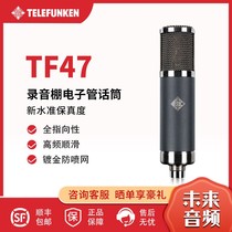 Telefunken Droot Wind Root TF47 Electron Tubing Competent TF51 Tubular TF51 Converbinol RFT Series Recording Microphone