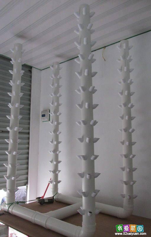 中国大陆动漫《开局地摊卖大力》第19集免费在线观看-落尘影院