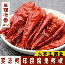 Authentic Indian imports devil dry chili 50g farmhouse spiced with spicy dry chili hot pepper Spicy Break Soul Pepper dead permalink