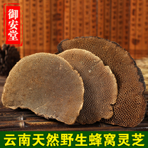 Yunnan Wild Cellular Lucid Lucid lucid lucid lucid Lingzhi Lucid Lucid and Lucid Lingzhi sheet 250 gr