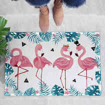 Access door floor mat silk ring door mat foyer bathroom carpet outside Household Mat door mat