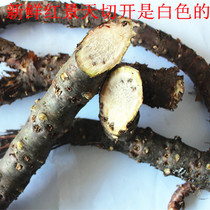 Tibet Dahua Rhodiola fresh Rhodiola belt and Rhodiola whole branch Rhodiola can be used as enzymes