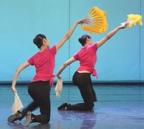 Beijing Dance Academy Folk dance teaching materials series Shandong Haiyang Yangge female class tutorial DVD video CD