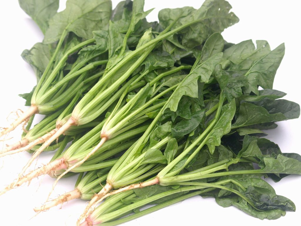 ilife智意x800怎么样?揭秘体验测评报告