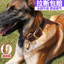 Large dog circle of neck ring in dog cow collar neck cow coil neck ring dog gold brador neck ring