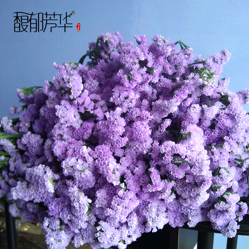 yunnan natural air-dried real flowers forget-me-not dried flower bouquets large dried flowers decorative ornaments home furnishings living room diy