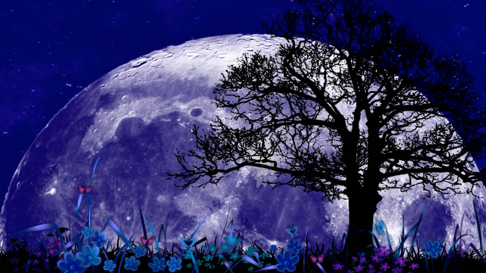 月光 歌舞晚会背景视频 led大屏幕视频 高清版