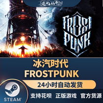 PC Genuine Steam Country Frostpunk Gift