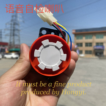 Electric tricycle voice self-test Horn