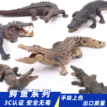 Solid simulation crocodile model Nile crocodile alligator wild boar alligator alligator animal toy emperor crocodile zoo