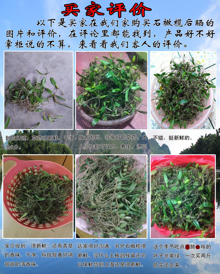 现采野生双叶单叶石橄榄新鲜石仙桃岩珠石莲果上叶挑选干净发货_7折现图片