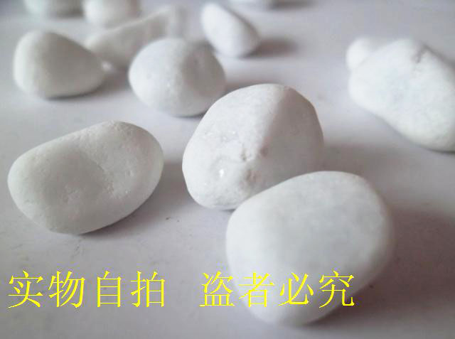 小石子鹅卵石纯白色石头石英石水培多肉植物花卉装饰白石子100g