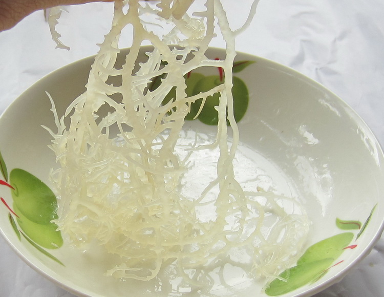 天然石花菜干货500克 农家自晒淡干海藻鹿角菜海石花凉拌菜海冻菜_双