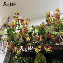 Emulation Garland flame Baking flower hanging decoration floral art package Art swing space beauty Chen with a floral view