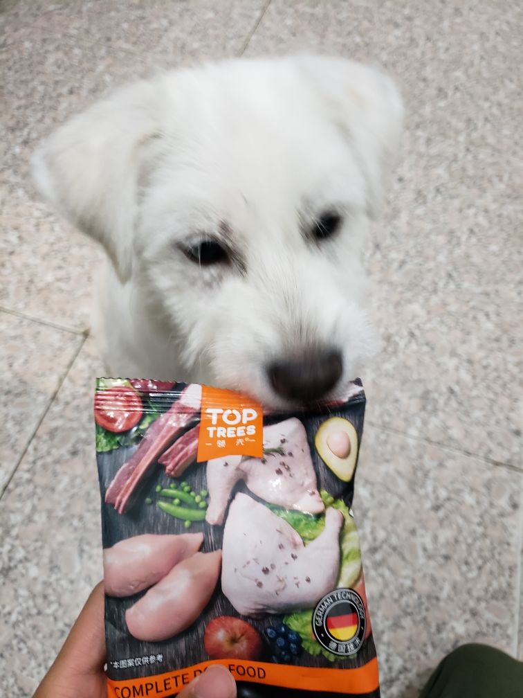 色香味俱全,领先这款奶糕狗粮很值_宝贝狗 色香味俱全,领先这款奶糕狗粮很值
