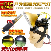 Head-wearing hernia lamp holder lamp 12V ultra bright bright light intelligent bicolor light non-light dimming night fishing Xenon lamp