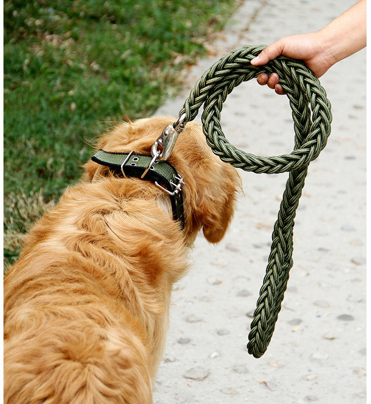 项圈狗绳狗狗牵引绳大狗链子小中大型犬拉带金毛八股8牛扣