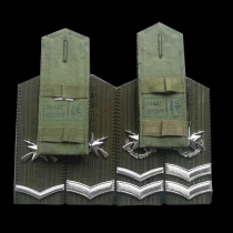 Brand new inventory Old and old veterans Ji miss the youth 9-9 style road green hard shoulder card