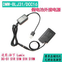 BLJ31 fake battery box Panasonic DC-S1 S1R S1H S1M S1RM camera external USB power bank