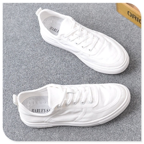 Small white shoes mens 2022 new cloth shoes summer breathable mens shoes Korean version all-match casual deodorant sneakers spring