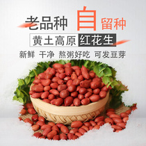 (Red skin peanuts)New goods in 2020 small-grain peanuts produced by farmers porridge soup five grains 500g