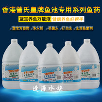 Koi fish pond Ace Lanbao liquid universal drug water purifier artificial nitrifying bacteria chlorination agent sterilization water