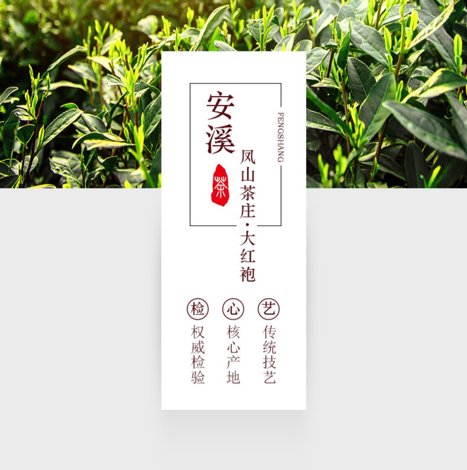 铁盒装新茶大红袍武夷山乌龙茶岩茶