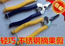 Stainless steel orange scissors picking and cutting fruit scissors gardening flower picking scissors garden scissors