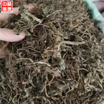 Chinese herbal medicine Mountain Cium mushrooms Leaf 500g Mountain Zum mushrooms Leaf Mountain Tzu mushrooms Leaf Chinese herbal medicine Garlic Leaf