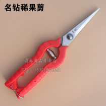 Famous drill fruit scissors sharp scissors pruning shears tree branches garden scissors grape scissors branch leaf scissors horticultural fruit picking scissors hand scissors