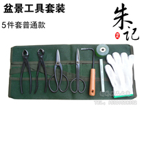 Zhu Ji bonsai tool set five-piece fork branch ball joint leaf bud potted potted bonsai tool bonsai tool kit